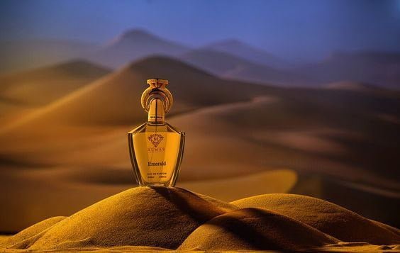 photo_2023-02-11_12-59-25 (2)